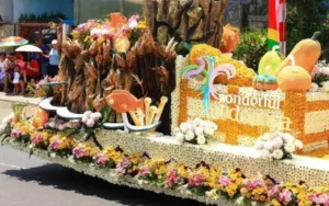Festival Bunga dan Buah Karo