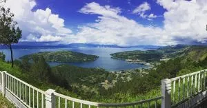 29414363 185182142101386 2527041594553532416 N