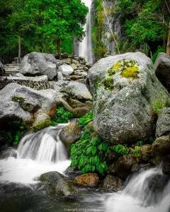 50575129 395517157673336 2317535559679422845 N