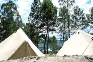 56337028 10213857604576028 6168200488828272640 N