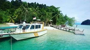 16122776 1851040121807393 8759348894090919936 N