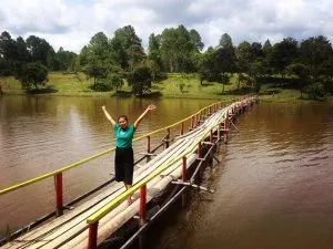 47583264 226864138251408 1903054161333755840 N