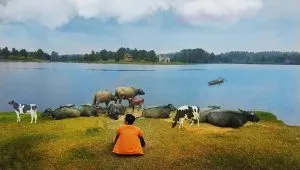 51662339 623800878058109 1877927565062953155 N