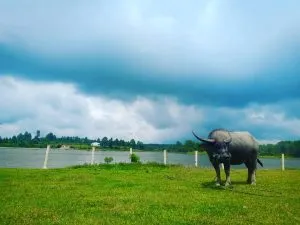 57924877 354999338456447 4384371723144391699 N