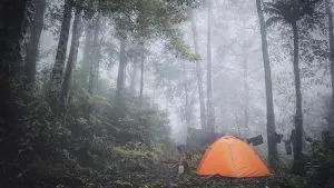 62009381 316420762582148 3583256872203985402 N