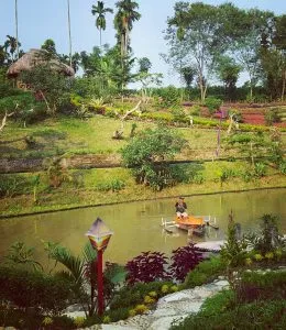 13687029 1575872489381785 642291949 N