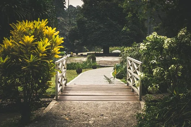 Taman Kebun Raya Bogor