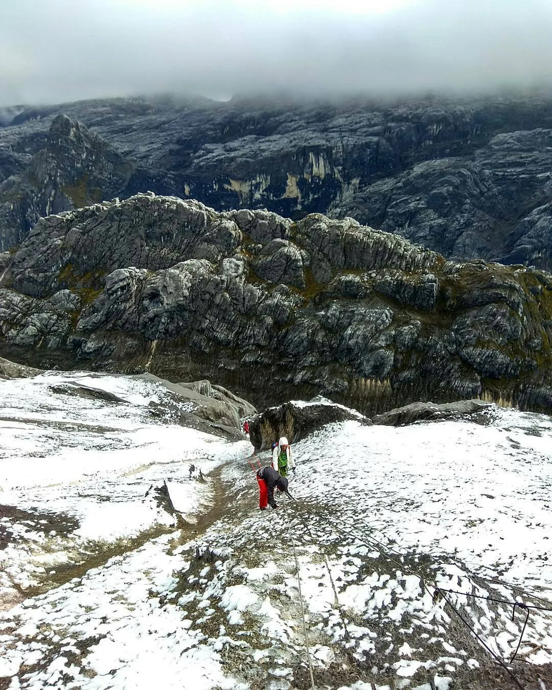 Mendaki Gunung Bersalju Beriklim Tropis di Papua