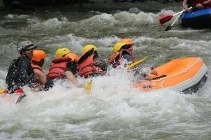 42941900 2142290209430526 6662516660846860375 N