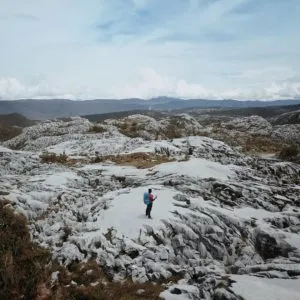 44726699 2212526412324177 6211280781343502742 N