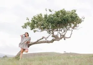 51109709 113287933102131 2750332208354952093 N