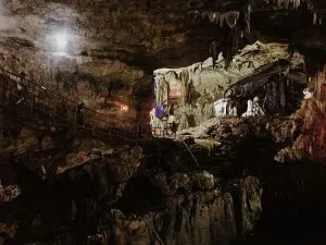 56367461 2218233128439831 69831845611053713 N