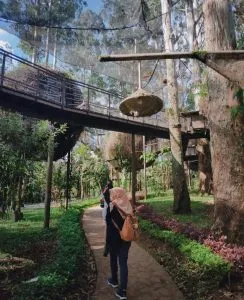 57311717 2345339495698394 4989641373799741989 N