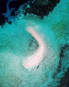 69389821 2453784244715402 2501165314152078399 N