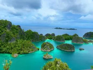 70428748 112436319965916 6993862842702882204 N