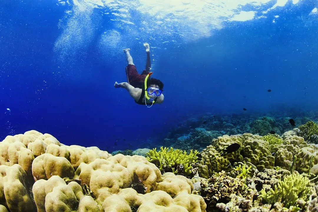 Keindahan Bawah Laut Pulau Bunaken