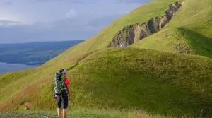 91915355 108458937321135 5502947391767918856 N