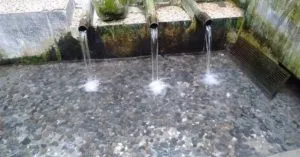 95955032 158479405660446 1075498688104639147 N