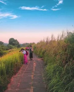 31738597 208378073151544 1532977117610901504 N