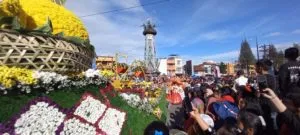 Festival Buah Dan Bunga